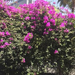 Meet your Posher, Terri